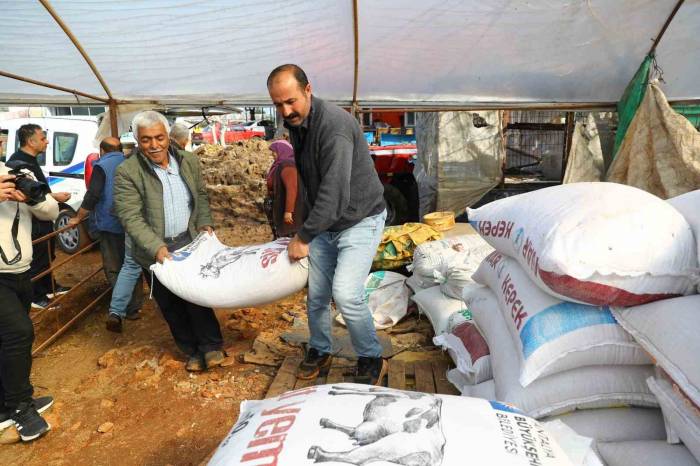 Büyükşehir 2 Bin 403 Personelle Afetzedelere Yardım Ediyor