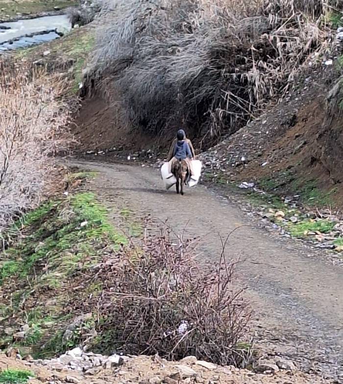 Elazığ’da Selde Çöken Yolu Kullanamayan Köylüler Hayvanlarına Eşekler İle Yem Taşıyor