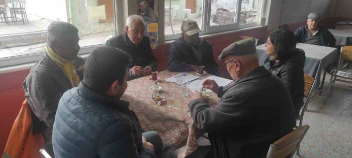 Zeytin Üreticileri Kokarca Zararlısına Karşı Bilgilendirildi