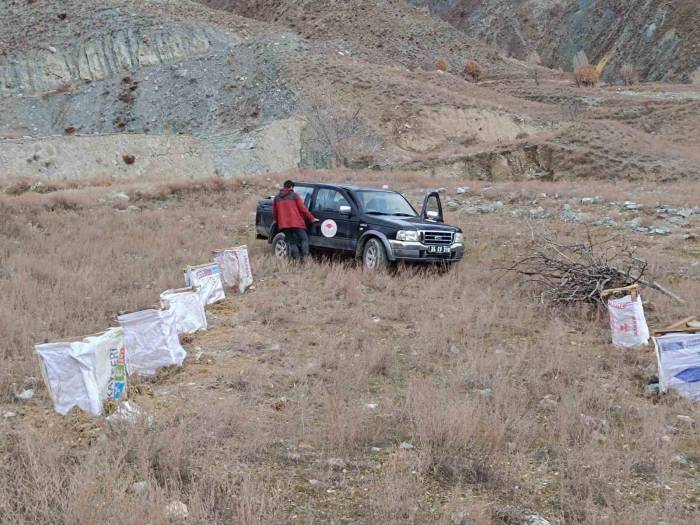 Tuz Çalısı Deneme Sahası Oluşturuldu