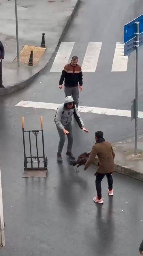 Otogarda Sahibinin Elinden Kaçan Horoz Ortalığı Birbirine Kattı