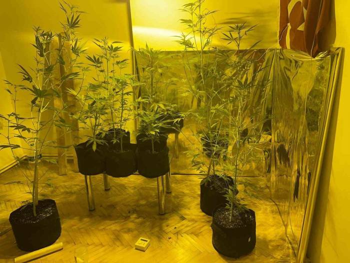 Kağıthane’de Uyuşturucu Operasyonu: 3 Gözaltı