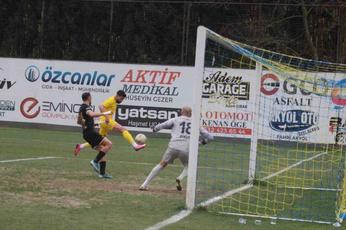 Tff 2.lig: Belediye Derincespor: 0 - Amed Sportif Faaliyetler: 2