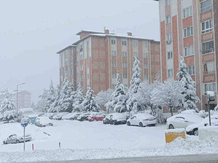 Van’da Karla Gelen Güzellik