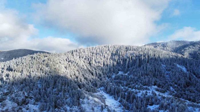 Beyaza Bürünen Ilgaz Dağı’nın Eteklerindeki Yaylalarda Kartpostallık Görüntüler Ortaya Çıktı