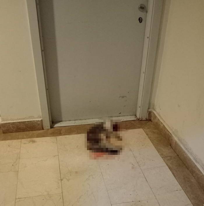 Kedi Eros’u Darp Ederek Öldüren İbrahim Keloğlan Hakkındaki Karar Kaldırıldı