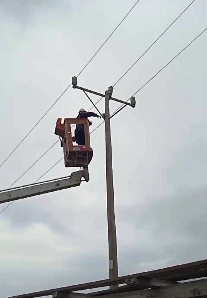 Elektrik Direğinde Mahsur Kalan Kediyi Vedaş Ekipleri Kurtardı