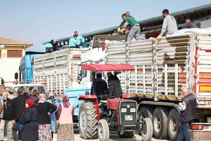 Merkezefendi Belediyesi Süt Üreticilerine 100 Ton Yem Desteği Verdi