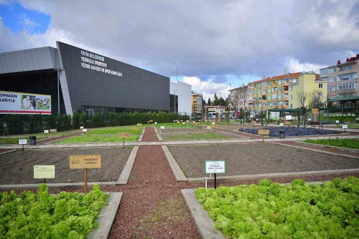 Fatih Belediye Başkanı Turan: “Kent Bahçelerimiz En Sevilen Projelerimizden Biri Oldu”