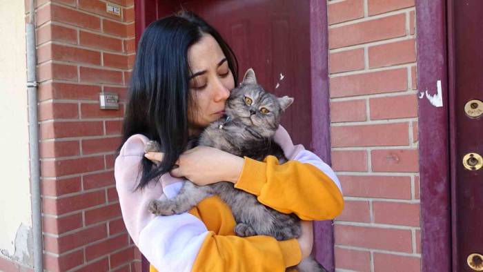 Tavşanlı İlçesinde Kayıp Olarak Aranan Kedi 10 Gün Sonra Bulundu