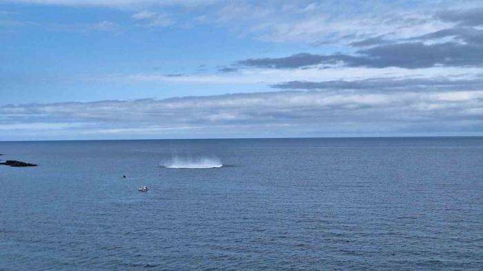 Trabzon Açıklarında Sıcak Dakikalar