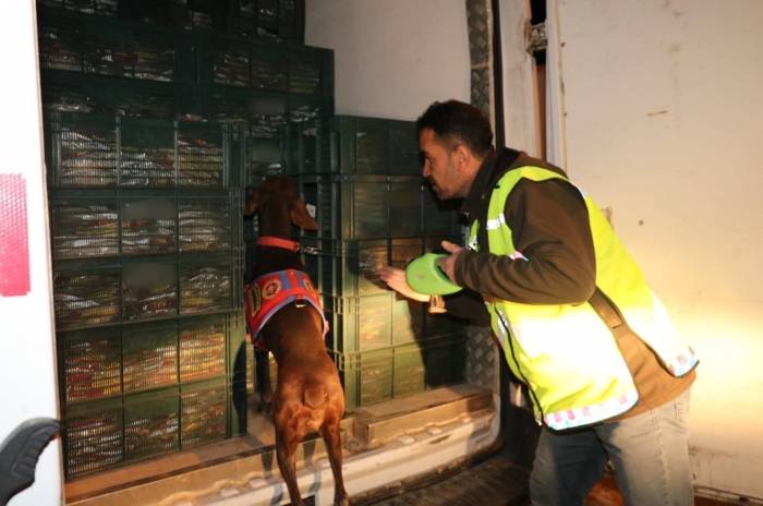 Adıyaman’da Jandarmadan Uyuşturucu Operasyonu
