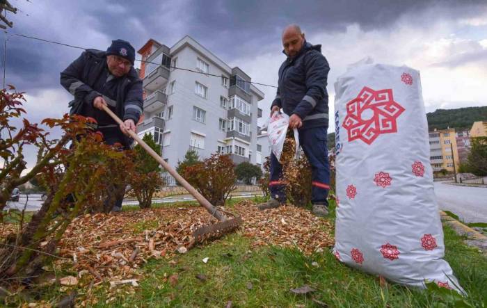 Karesi’de Budanan Dallar Gübre Oluyor