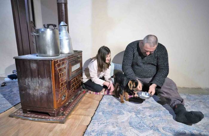 Muş’ta 3 Ayaklı Oğlak Doğdu