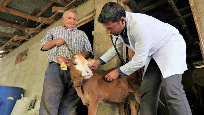 Ak Partili Pekdemir, Pamukkale’de Kırsal Kalkınma Hamlesi Başlatacak