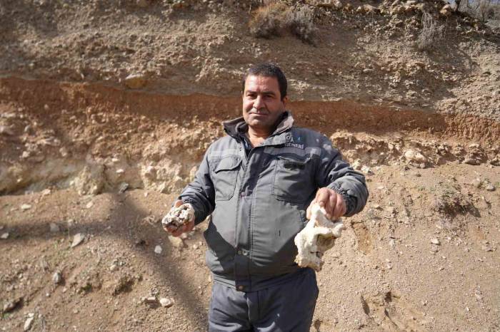 Niğde’de Dinozor Fosili İddiası