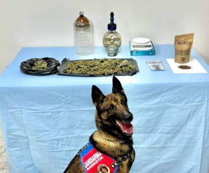 Jandarma Uyuşturucu Tacirlerine 4 İlçede Operasyon Düzenledi: 8 Gözaltın