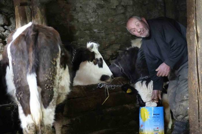 Görmeyen Gözlerine Rağmen Hayvancılık Yaparak Hayata Tutunuyor