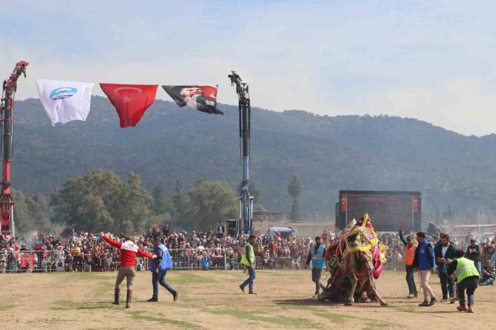 Pehlivan Develer Bağarası’nda Güreşti