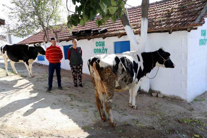 Muğla Ve Aydın’a 30 Milyon Tl Orköy Desteği