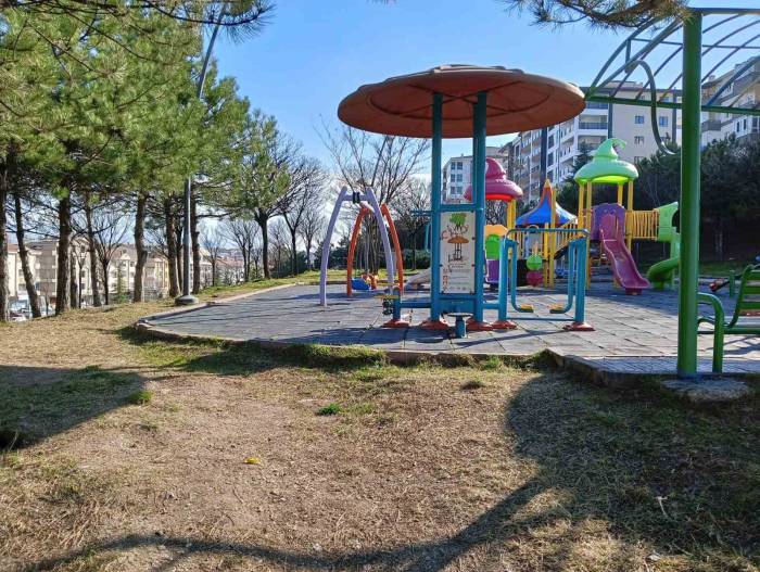 Ağacı Oyarken Kendisini Bıçakla Yaraladığı İddia Edilen Çocuk Hayatını Kaybetti