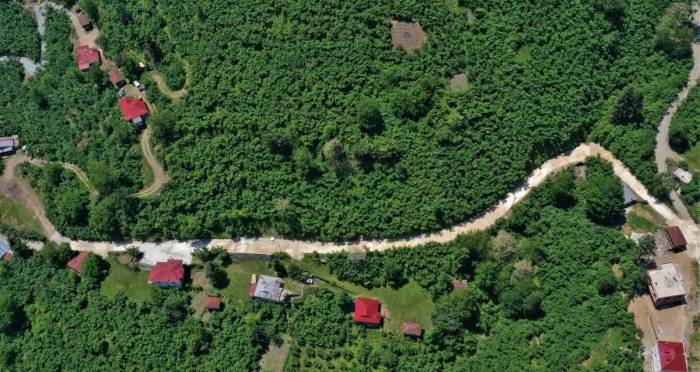 Altınordu’da Sıcak Asfalt Ve Beton Yol Çalışmaları Sürüyor