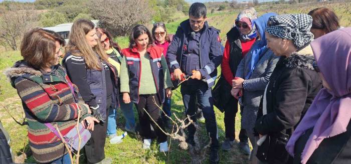 Bozcaada Bağcılıkta Modern Teknikler Eğitimi