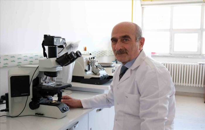 Diyabetle Oluşan Doku Hasarlarını Önleyecek Projeye Destek