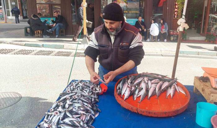 Denizden Çıkan Balık Azaldı, Fiyatlar Arttı