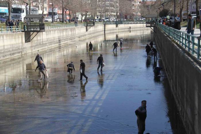 Beyşehir Gölü’nden Kanala Dökülen Balıkları Toplamak İçin Birbirleriyle Yarıştılar