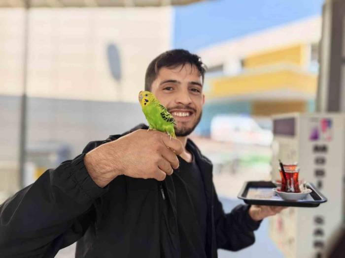 Çay Servisi İbiş’ten