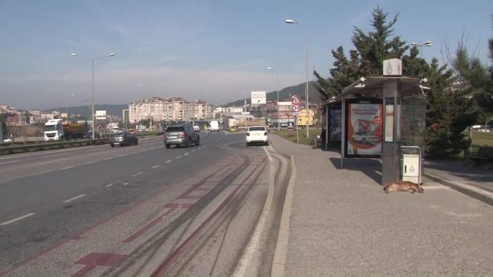 Çekmeköy’de Üniversite Harcını Yatırmaya Giden Genç Kıza Otomobil Çarptı