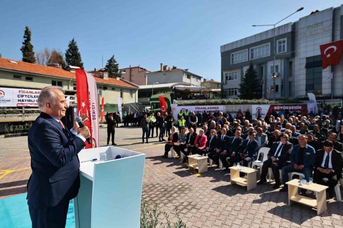 Denizli’de 14 İlçede 240 Bin Zeytin Fidanı Toprakla Buluşacak