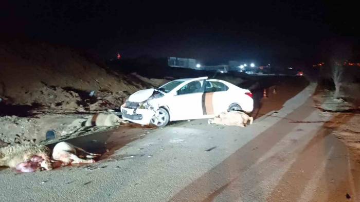 Bilecik’te Otomobil Koyun Sürüsüne Çarptı, 1 Kişi Yaralandı
