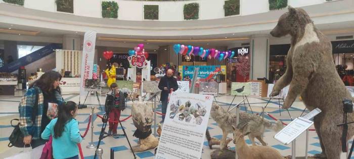 Yaban Hayata Sergi İle Dikkat Çekildi