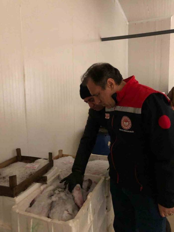 İstanbul’da Yasa Dışı Ticari Avcılık Denetimi: 4 Ton Balığa El Konuldu