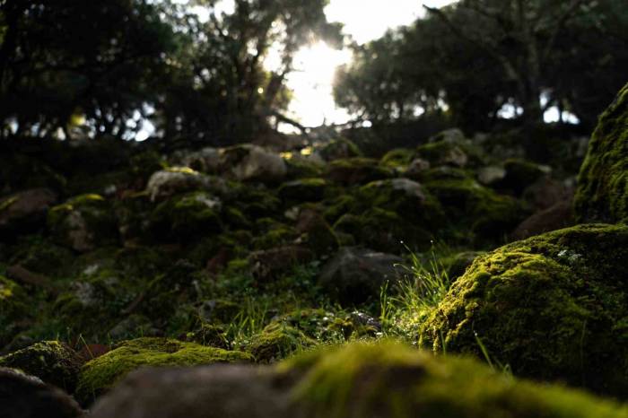 Aigai’deki Kazı Çalışmaları Geleceğe Miras Kalacak
