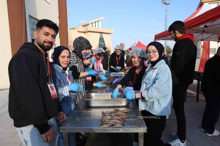 1 Ton Hamsi, 1 Saatte Tükendi