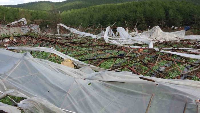 Alanya’da Hortum 250 Dönümden Fazla Seraya Zarar Verdi