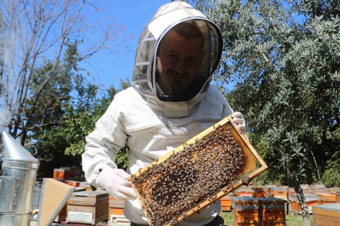 Erken Gelen Baharla Birlikte Başlayan Bal Mesaisi Depremzede Arıcıya Umut Verdi
