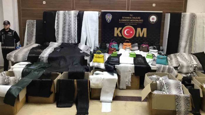 Zeytinburnu’nda Deri İmalathanesine Baskın: Binlerce Kaçak Yılan Ve Deve Kuşu Derileri Ele Geçirildi