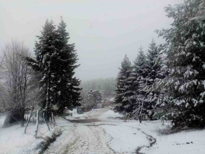 Sakarya Ve Kocaeli’nin Yüksek Kesimleri Yeniden Beyaza Büründü