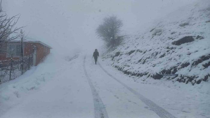 Tunceli’nin Yüksek Kesimlerinde Kar Yağışı Etkili Olmaya Başladı