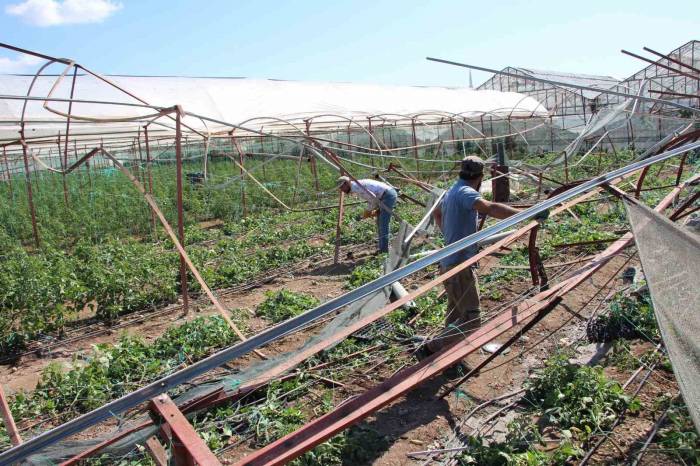 Kumluca’da Hortum Afetinden 265 Dönüm Alanda 111 Üretici Etkilendi