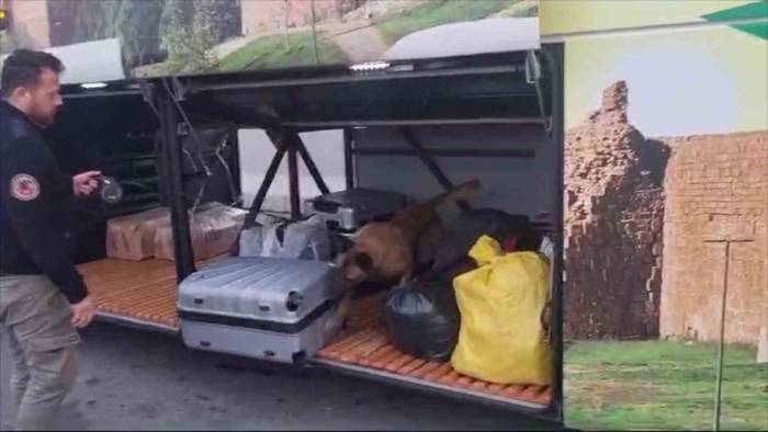 Valizden 21 Kilo Esrar Çıktı