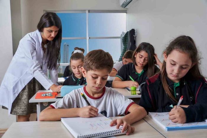 Pamukkale Adayı Pekdemir Ücretsiz Eğitim Projelerini Anlattı