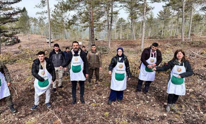 Altıntaş Ve Dumlupınar Kaymakamları Karaçam Tohumu Ekimi Yaptı