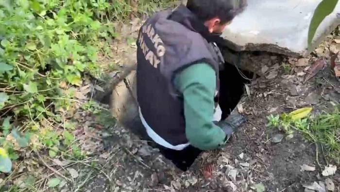 Sığınakta Kurduğu Sistemle Kenevir Yetiştirdi