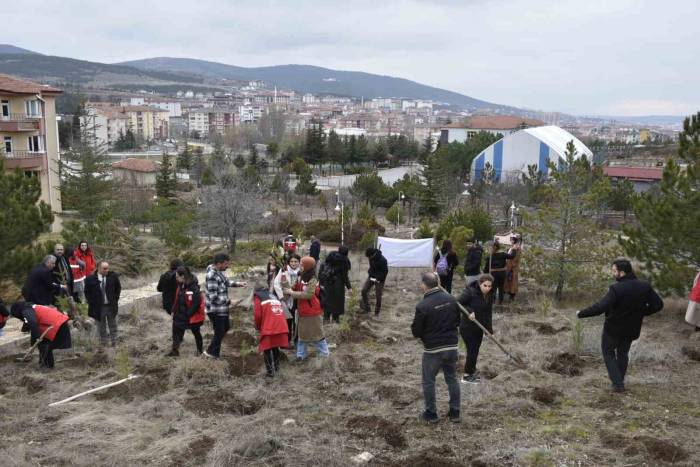 Yozgat’ta 300 Fidan, Depremde Hayatını Kaybeden Kadınlar Anısına Toprakla Buluştu