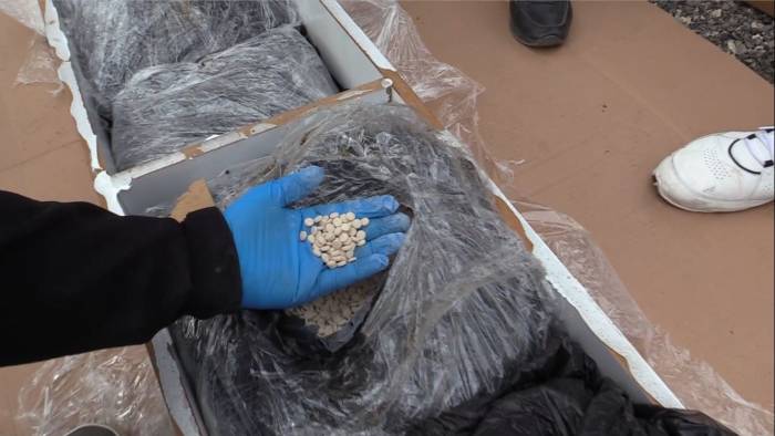 Mobilya Eşyaları Arasında 557 Bin Adet Uyuşturucu Hap Ele Geçirildi